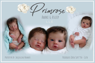 Kit bébé reborn "Primrose éveillée" by Laura lee Eagles