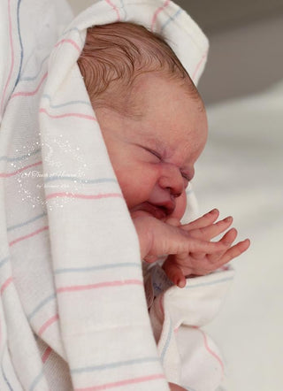 Preorder kit bébé reborn "Gracie Mae" by Laura lee Eagles