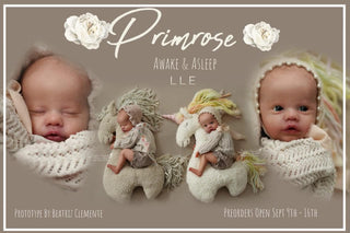 Preorder kit bébé reborn "Primrose éveillée" by Laura lee Eagles