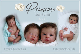 Preorder kit bébé reborn "Primrose éveillée" by Laura lee Eagles