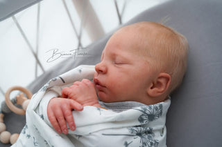 Preorder kit bébé reborn "Elsie Anne by Doris Moyers-Hornbogen