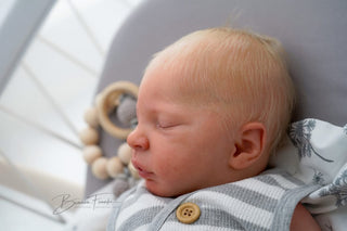Preorder kit bébé reborn "Elsie Anne by Doris Moyers-Hornbogen