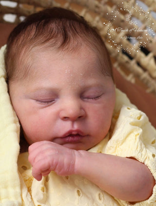 Preorder kit bébé reborn "Elsie Anne by Doris Moyers-Hornbogen