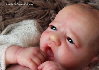Kit bébé Reborn "Blake Awake" Realborn by Bountiful Baby
